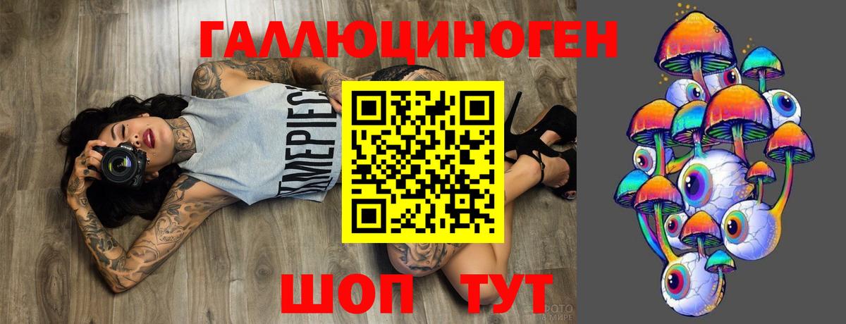 как найти закладки  Галлюциногенные грибы GOLDEN TEACHER  Псилоцибиновые грибы Psilocybine cubensis  Вход с VPN  Арзамас 